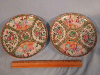 Pair Antique 8.  5 " Chinese Export Rose Medallion Plates