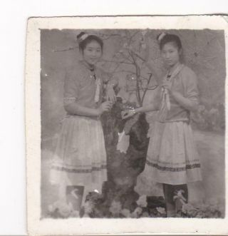 Cute Chinese Ethnic Minority Girls Parasol Photo China 1950s - 1960s