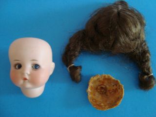 Antique 310 Just Me Armand Marseille Bisque Doll (head Only)