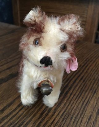 Vintage Steiff " Molly " Dog With Tag & Bell Brown & White 4 " Sitting Swivel Head