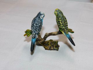 Old Franz Bergman Signed Austrian Cold Painted Bronze 2 Parrots On Branch Nr