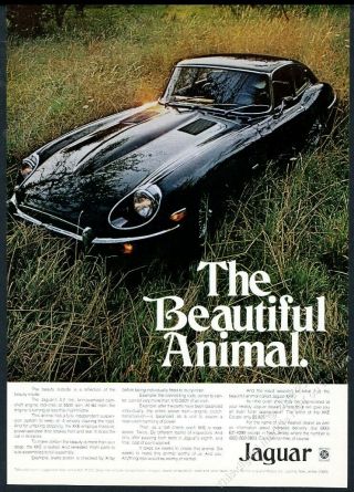 1971 Jaguar Xke Xk - E Coupe Black Car Photo Animal Vintage Print Ad