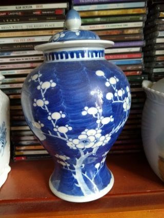 Vintage Oriental Blosom Blue White Ceramic Ginger Jar
