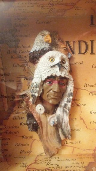 Native American Indian With Eagle And Cougar Shadow Box