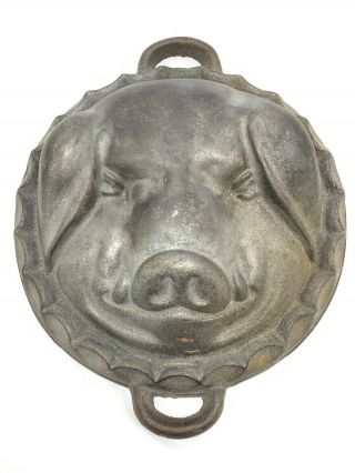 Vintage Cast Iron Pig Hog Head Face Mold Cheese Terrific