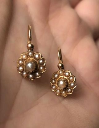 Antique French 18k Gold & Seed Pearl Earrings