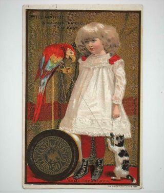 Antique 1881 Trade Card Willimantic Spool Cotton Thread Girl Macaw Parrot & Cat