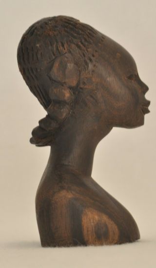 Ooak Beautifully Detailed Hand Carved African Female Bust Exotic Ebony Wood A203