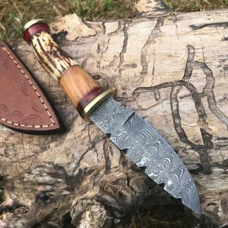 Usa Auk - 341 Custom Handmade Damascus Steel Antler Handle Hunting Knife.
