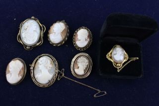 7 X Vintage & Antique Carved Shell Cameo Brooches Inc.  Rolled Gold,  Victorian