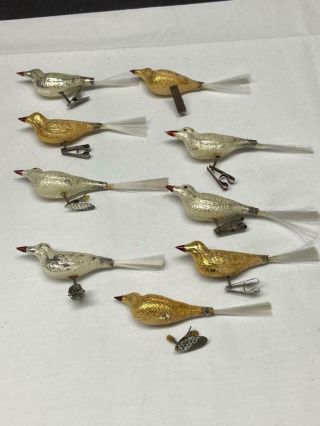 9 Vintage Mercury Glass Christmas Ornaments Clip On Birds For Your Feather Tree