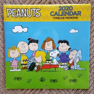 Peanuts 2020 Calendar 12 Months Snoopy,  Charlie Brown & The Gang &