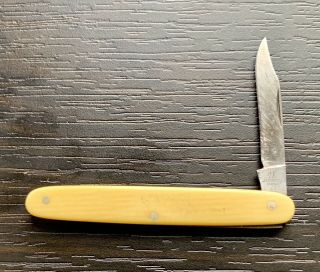Vintage J.  A Henckels Clip Point Single Blade Pocket Knife - Germany 2 3/4”