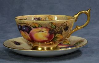 Vintage Aynsley Fruit & Nut Orchard Gold Gilded Cup and Saucer Signed N.  Brunt 2