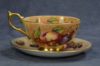 Vintage Aynsley Fruit & Nut Orchard Gold Gilded Cup and Saucer Signed N.  Brunt 3