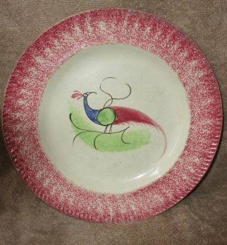 Antique French Germany Pottery Plate Hand Painted Bird Impressed Flower Mark