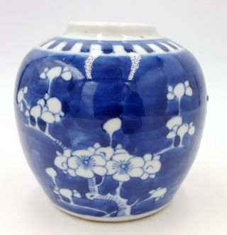 Antique Chinese Blue And White Prunus Porcelain Ginger Jar
