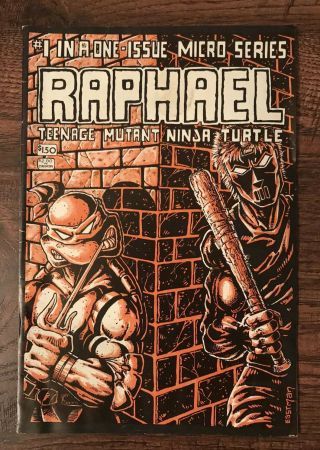 Mirage Studios Teenage Mutant Ninja Turtles (1984) Raphael Micro Series 1