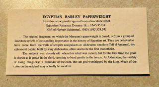 ANCIENT EGYPTIAN METROPOLITAN MUSEUM OF ART BARLEY FRAGMENT PAPERWEIGHT RELIEF 3