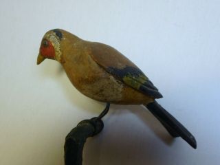 Rare Old Wood Carved Bird On Limb
