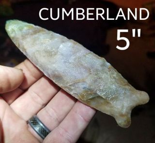Huge Colorful Cumberland Arrowhead Spear Point Native Indian Artifact 5 " Long