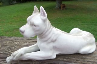 Vintage Heubach Germany Porcelain Great Dane Dog Figurine