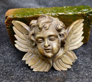 Antique Wood Carving Of A Winged Angel - Amor Head 19th.  Century