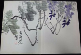 Very Large Old Chinese Hand Painting Plants And Shrimps Book " Qibaishi " Mark