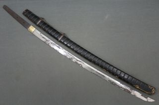A Signed Japanese Blade With An Unusual Saya - 2nd Half 17th Century