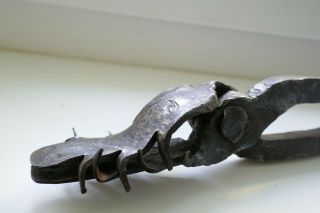 Very Rar Antique Crocodile Pliers,  Witch,  Torture,  Germany/austria 18 Cen.