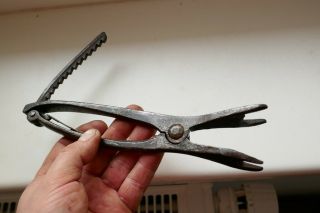 Very Rar Antique Torture Pliers For Anus/vagina,  Folter