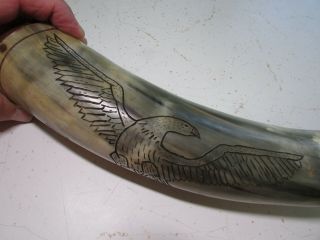 Antique 1784 Scrimshaw Powder Horn Hand Carved Nr - American Revolution - Eagle