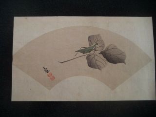 Antique Japanese Woodblock Print - Praying Mantis On Leafy Plant Goshun