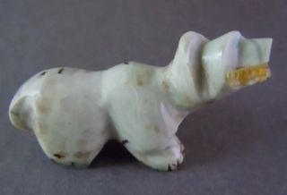 Zuni Carved Walking Bear With Fish Fetish By Andres Quam