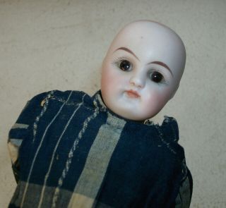 Antique German Doll Bisque Head With Glass Eyes Marked " 4/10 " Cloth Body 101/2 "