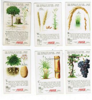 Coca Cola Coke 12 World Of Nature Trees And Plants Useful To Man Cards