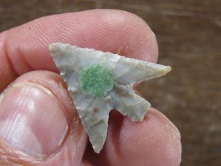Late Prehistoric Wallula Gap,  Great Ex.  Warm Springs,  Harney Co OR x Anderson 2