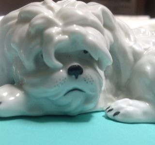 Antique German Porcelain Bolognese Dog 4 " Adorable