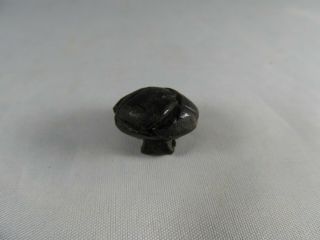 Leather Button Taken from Dead British Officer at Battle Bunker Hill - 1881 LOA 2