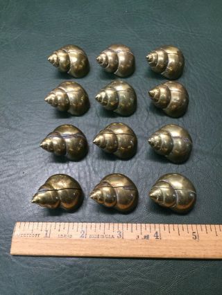 Set Of 12 Antique Cast Brass Place Card Holders Conch Sea Shell Nautical