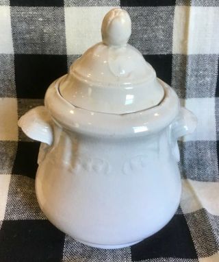 Rare Antique White Ironstone Sugar Bowl Edward & Son.  C.  1861