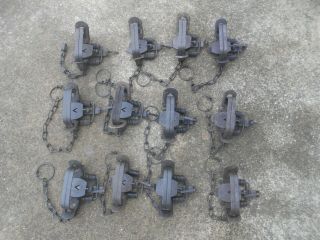 12 Number 2 Victor Double Coil Spring Traps,  Trapping