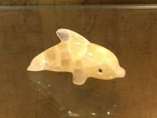 Absolutely Calcite Dolphin Zuni Fetish Carving By Kenny Chavez 2004