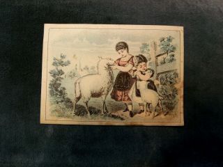W.  W Kimball Co.  Pianos & Organs,  Girls Petting Lambs Farm Scene W1