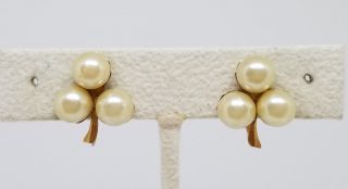 Vintage Estate 10k Yellow Gold & Pearl Clover Shamrock Screwback Earrings 3.  4 Gr
