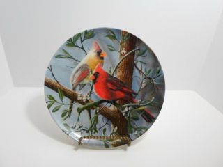 KNOWLES Decorative Bird Art Plate - The Cardinal - Kevin Daniel 3