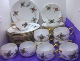 33 Hand Painted Holly Berry Bone China Cup,  & Saucers,  8 " Plate Glass Christmas
