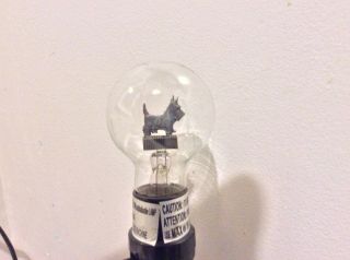 Vintage Aerolux Scottie Dog Light Bulb 1938/39.