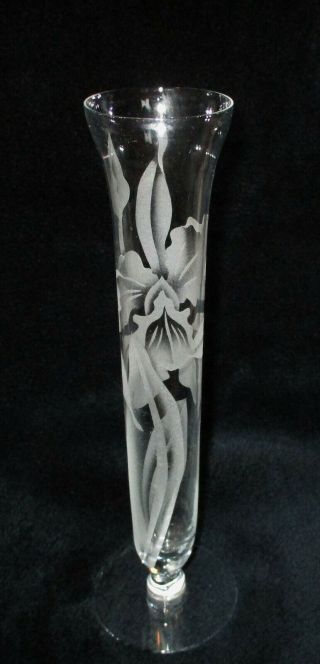 Hawaii Vintage Etched Glass Vase Orchid 10 " Tall