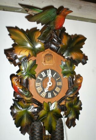 Large Rare German Black Forest August Schatz 3 Bird Unusual 8 Day Cuckoo Clock